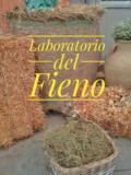 laboratorio del fieno 