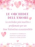 le orchidee 