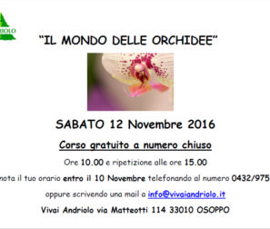 il mondo delle orchide evento fb 