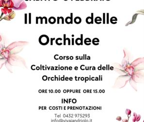 il mondo delle orchidee 2025 